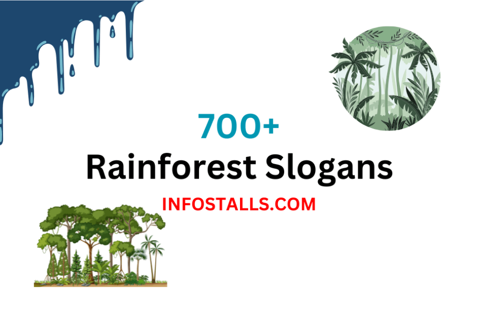 Rainforest Slogans