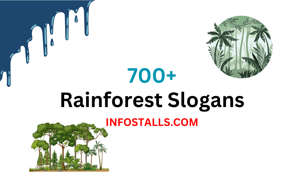 Rainforest Slogans