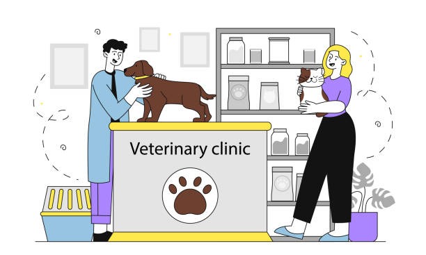 Right Veterinary Care