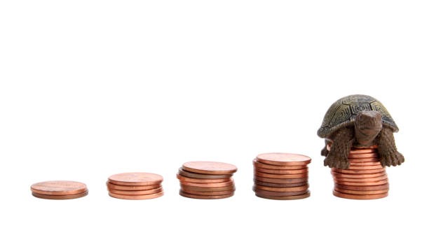 Low Duration vs. Medium Long Duration Funds