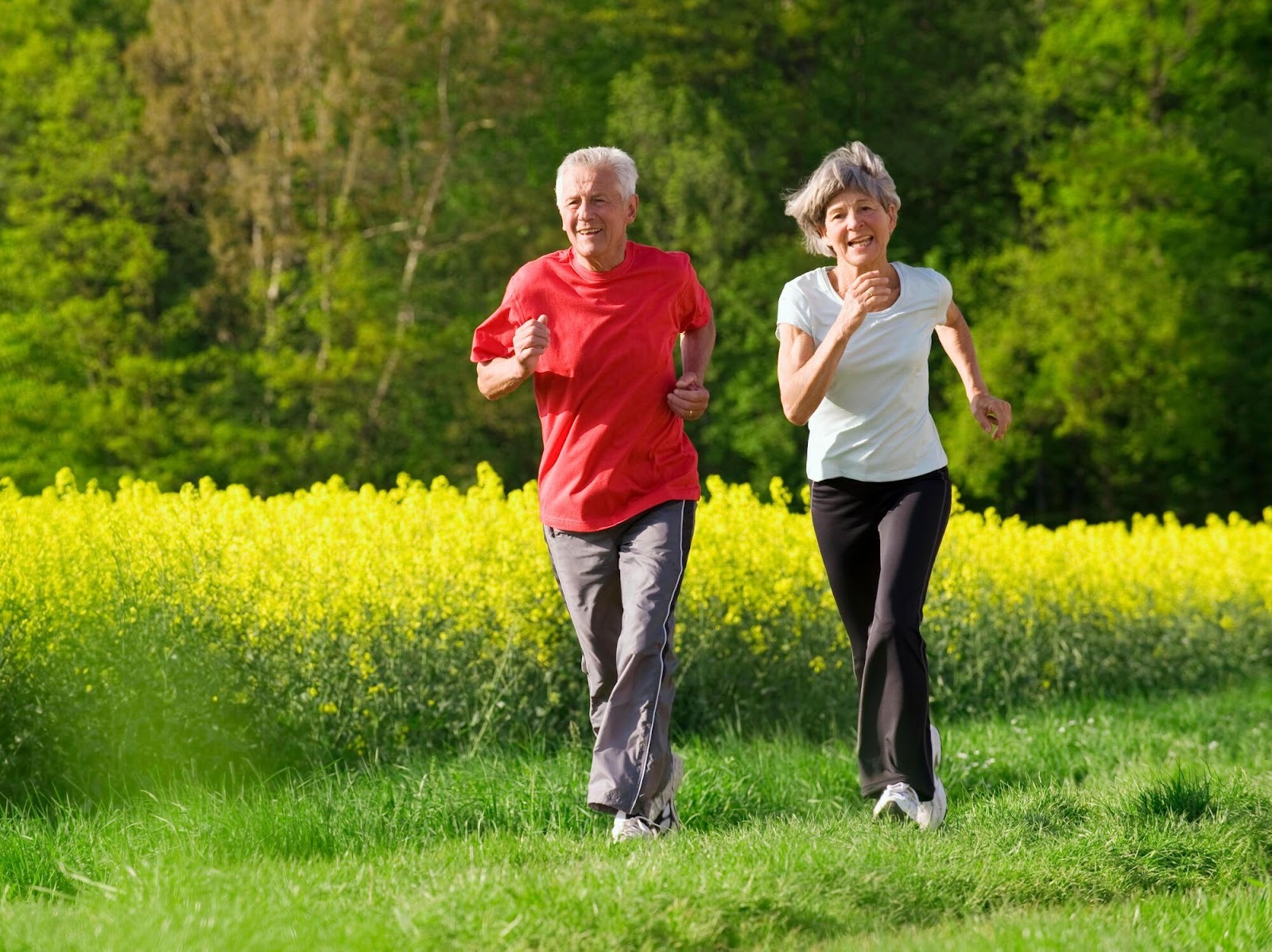 Indoor Activities for Seniors