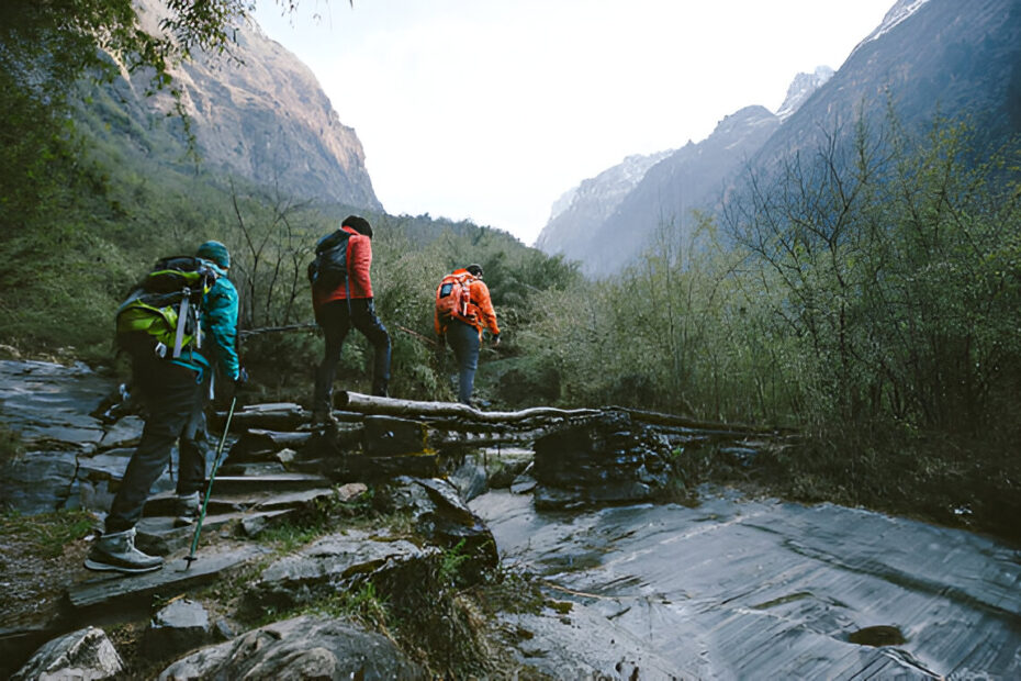 Heavy-Duty Coolers for Outdoor Adventures