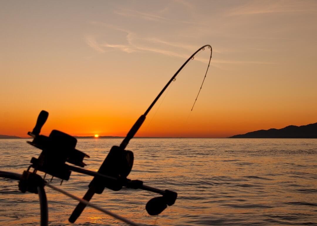 Booking a Fishing Charter