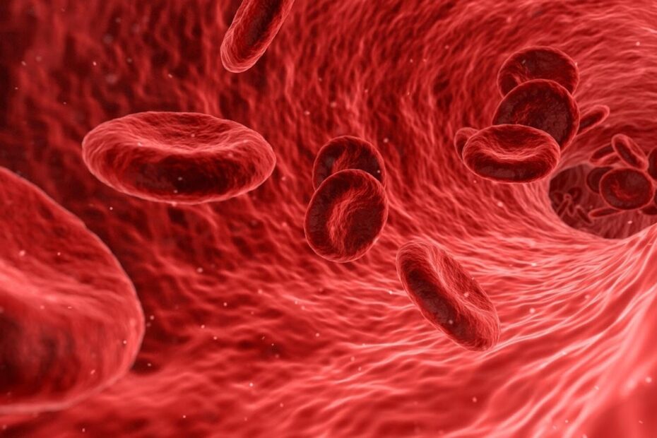 Bloodborne Pathogen Safety Practices