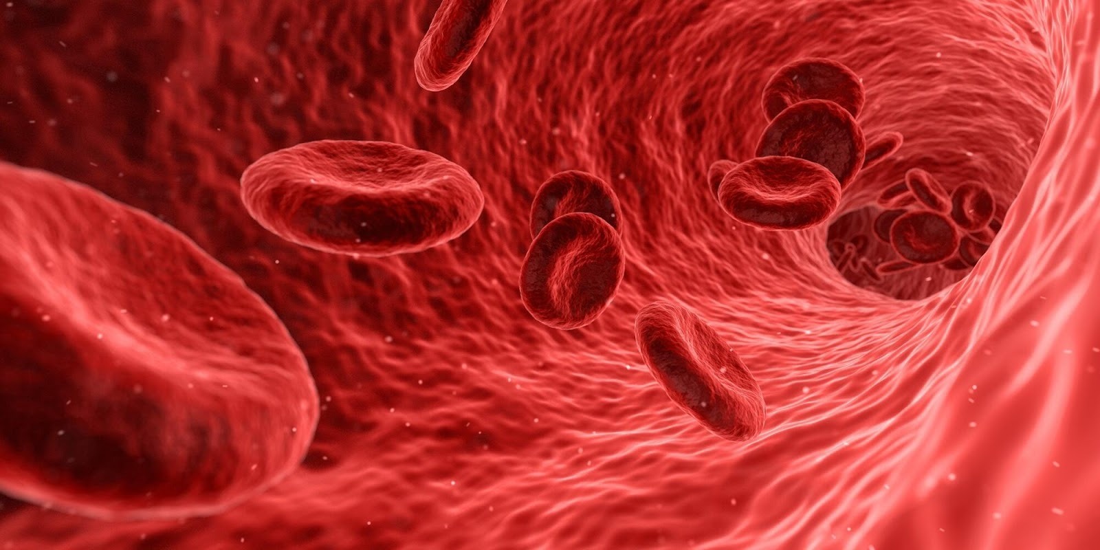 Bloodborne Pathogen Safety Practices