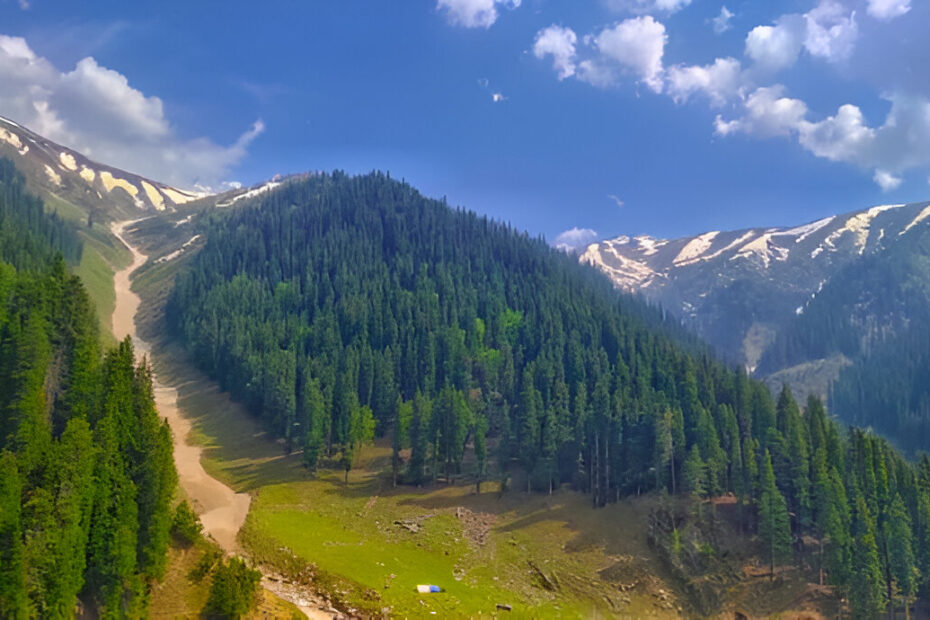 Best Places to Visit in Jammu and Kashmir