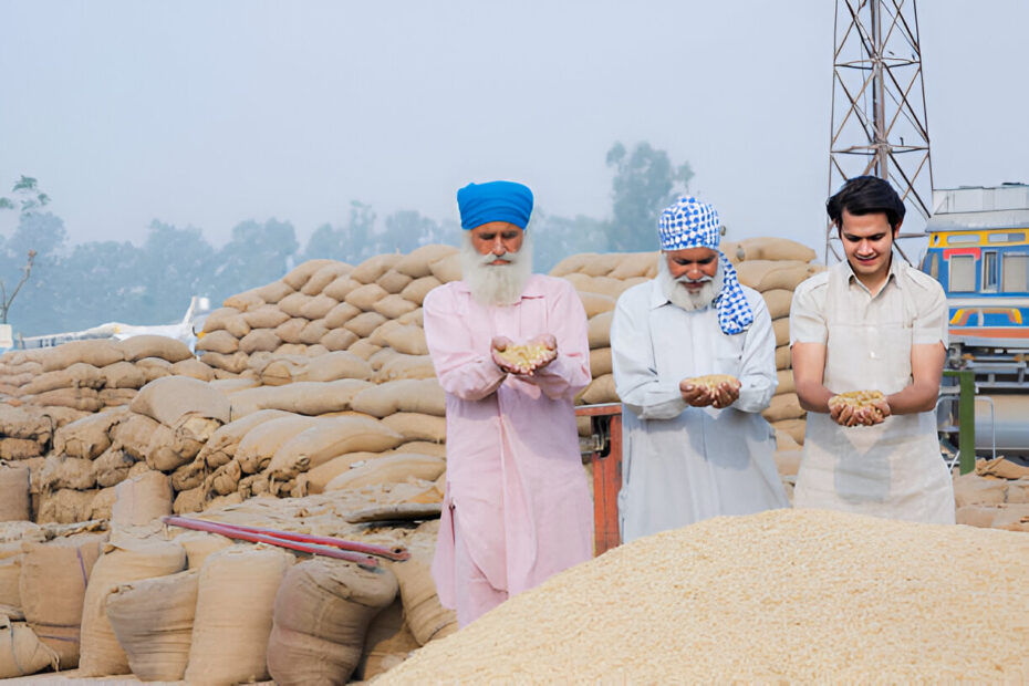 Rice Exporters in India