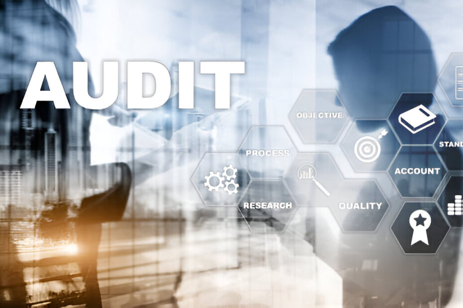 Work of Audit Firms in Sharjah