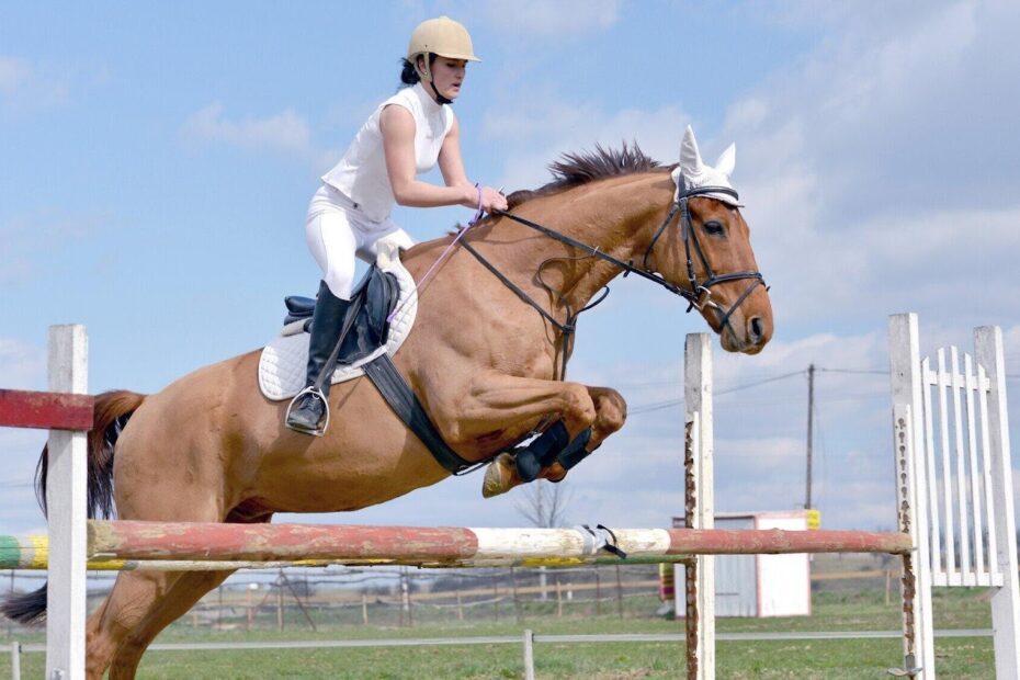 Master the Art of Show Jumping with Confidence and Skill