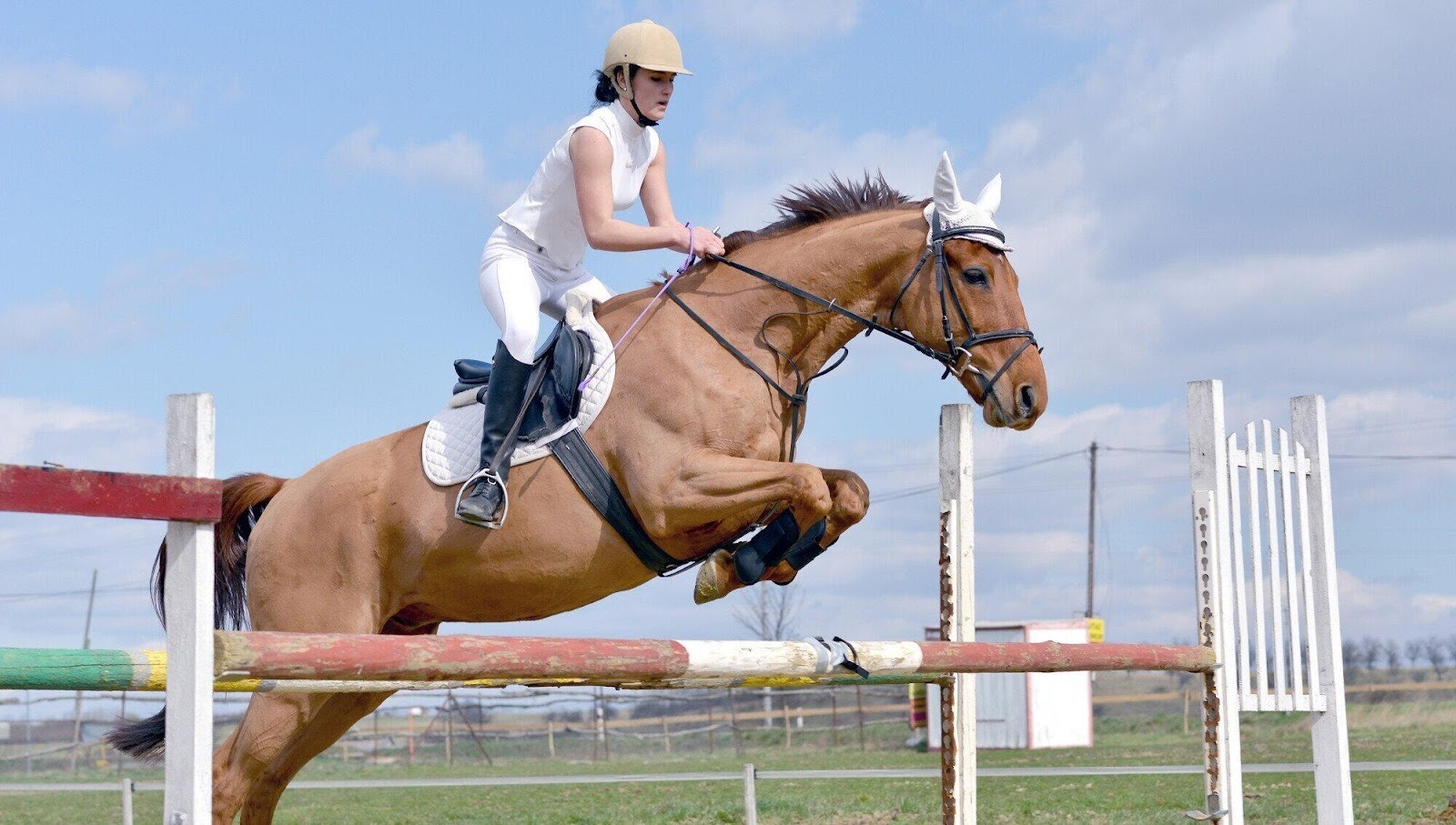 Master the Art of Show Jumping with Confidence and Skill