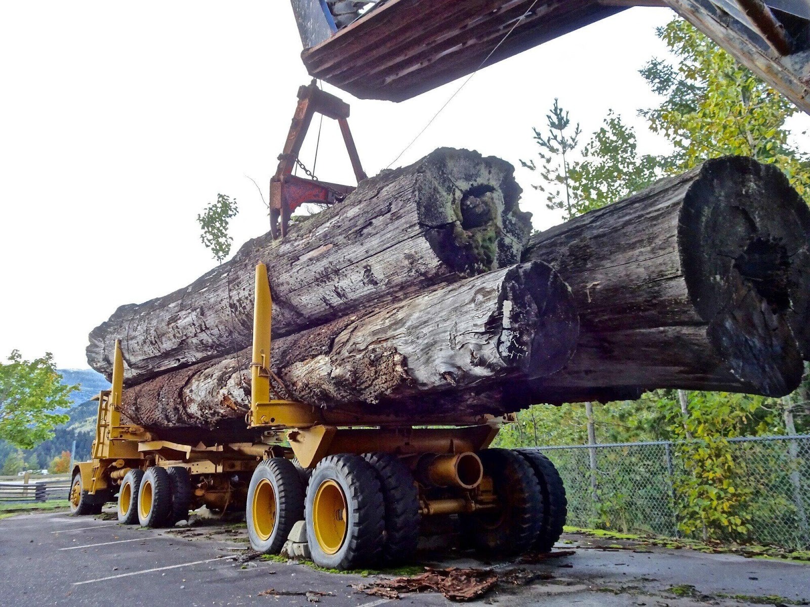 Safeguard Logging Operations