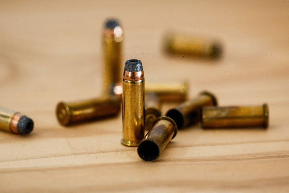 Understanding Ammunition Types