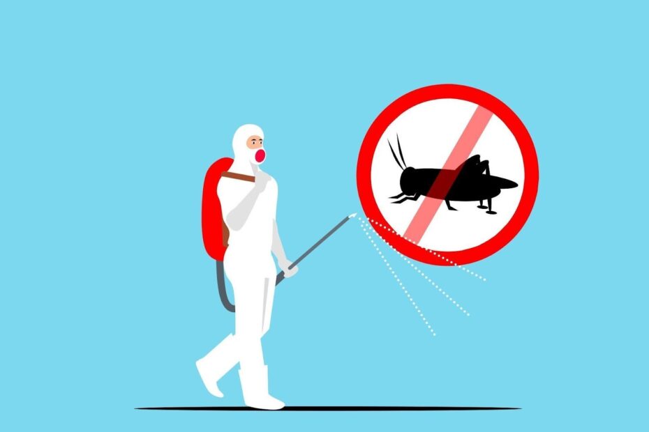 Protect Your Home Against Common Pests