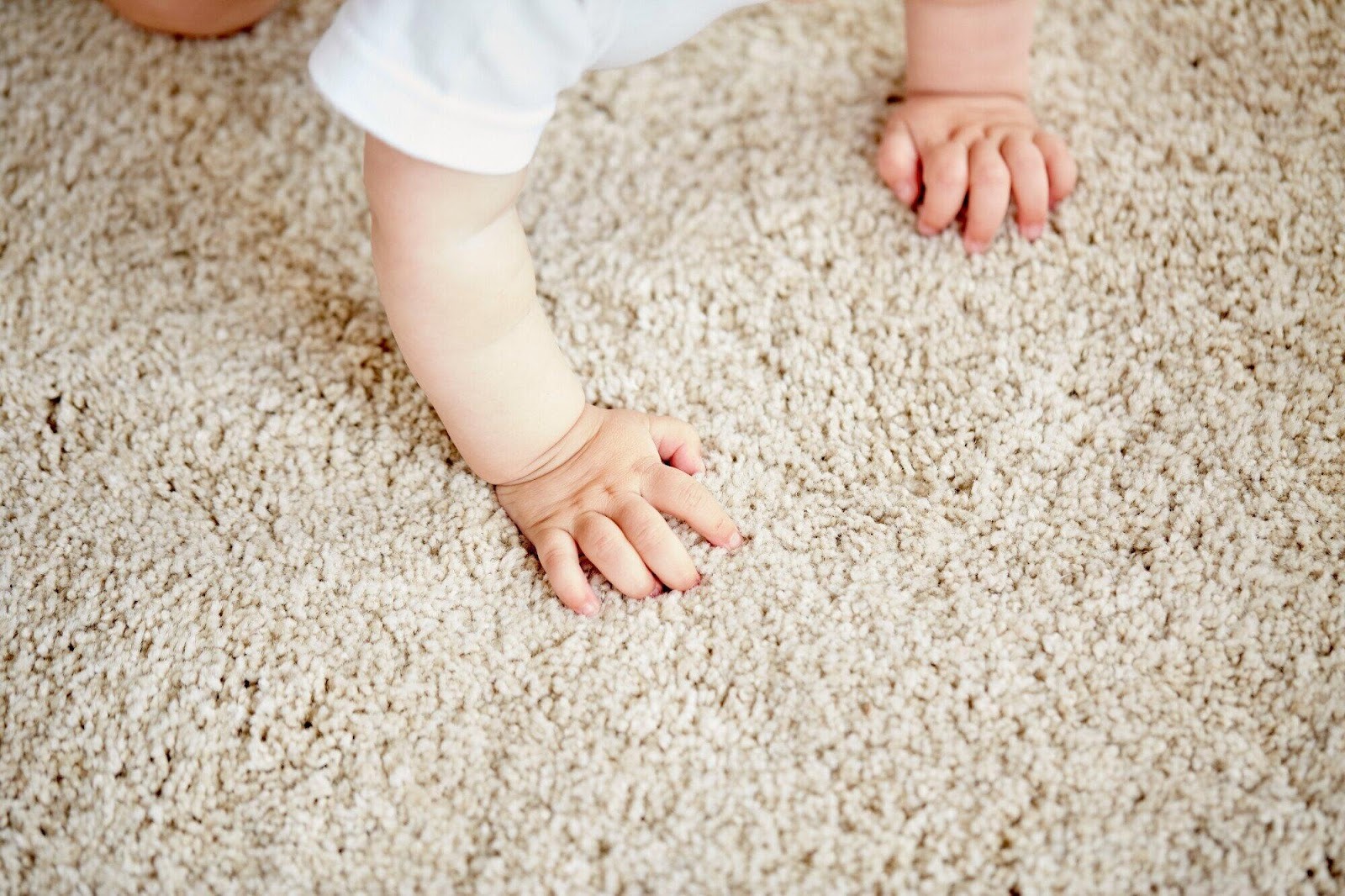 Choosing Carpet Flooring for Your Space