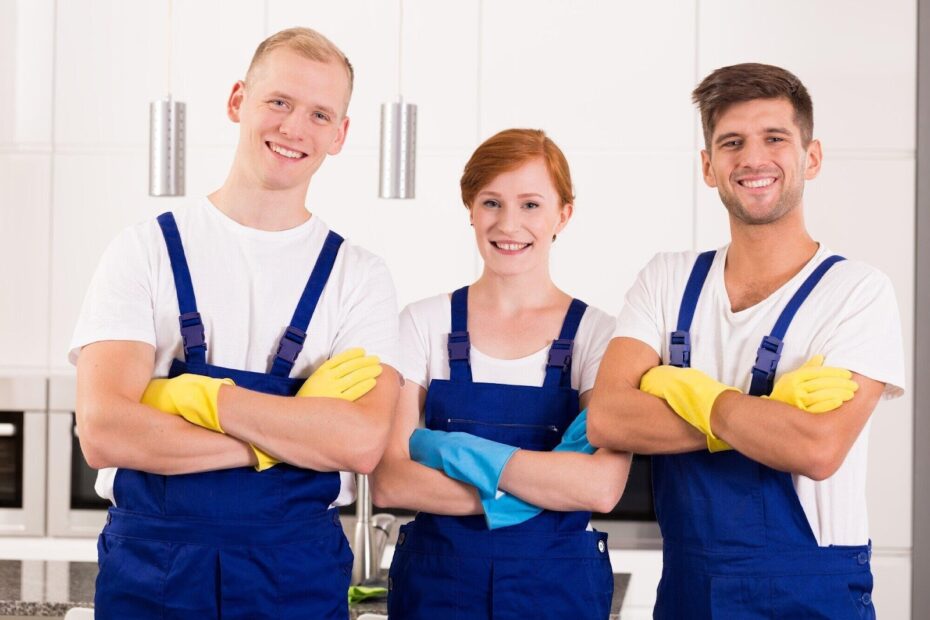 Guide to Professional Cleaners