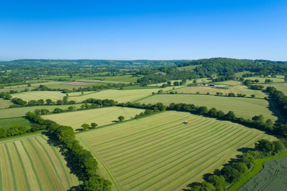 Exploring Land Investment