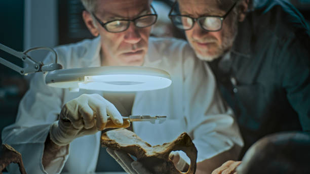 Evolution of Symmetry and Material Science in Modern Restorative Care