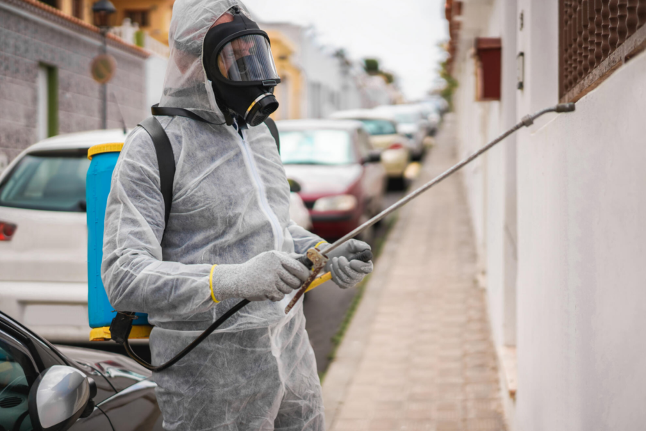 Pest Control Solutions
