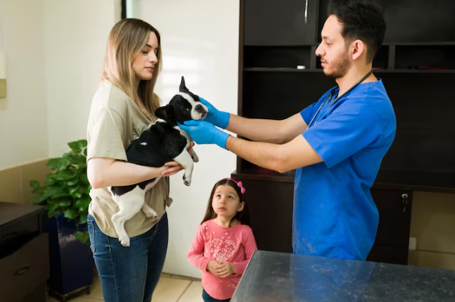 Why In House Diagnostics Make Veterinary Clinics More Efficient