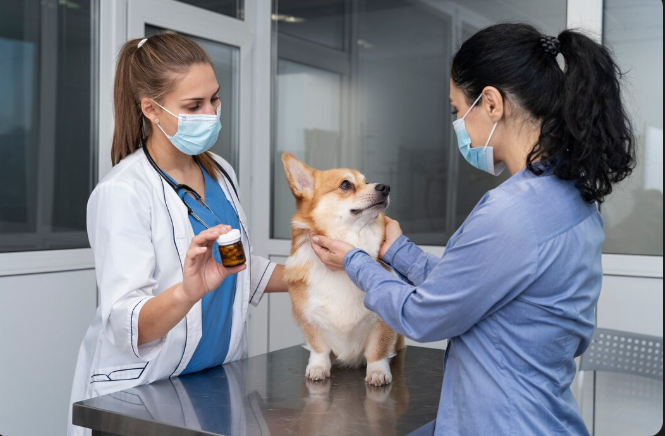 Animal Hospitals
