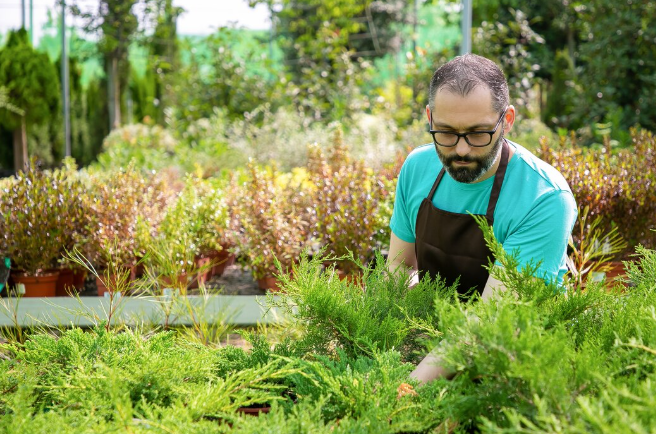 Expert Landscaping Services and Design Solutions