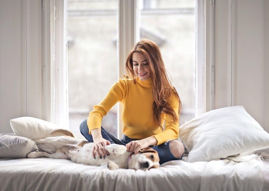How to Choose the Right Student Apartment Options