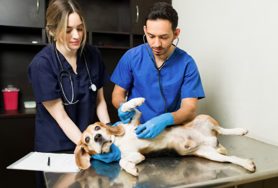 Faster Care