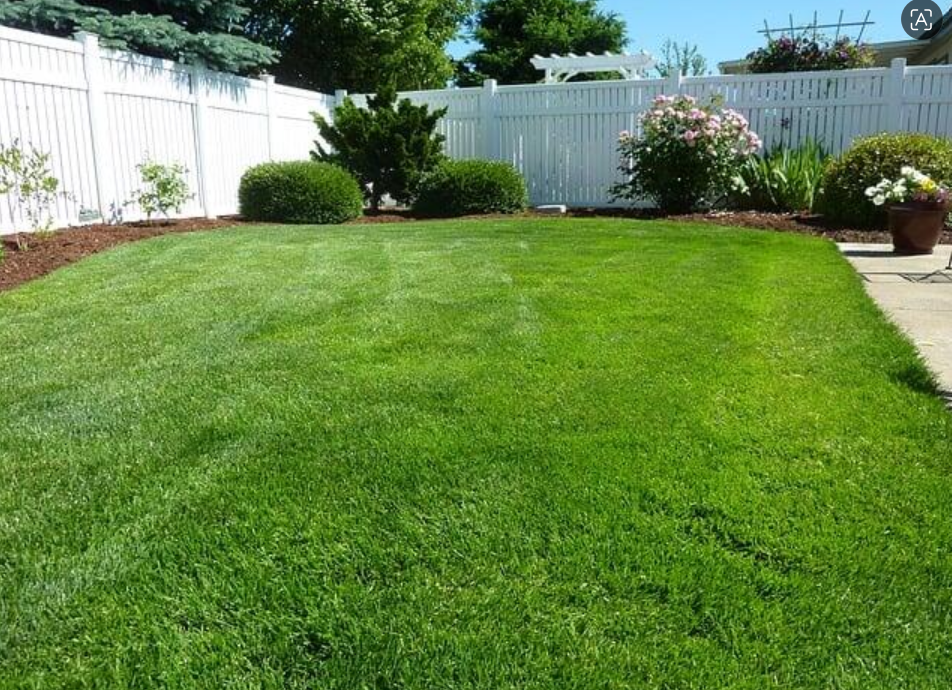 Backyard Glow-Ups Start With These